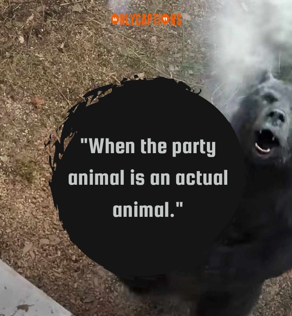 Quotes From Cocaine Bear-OnlyCaptions