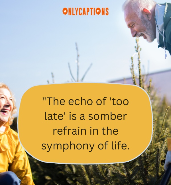 Quotes On Being Too Late-OnlyCaptions