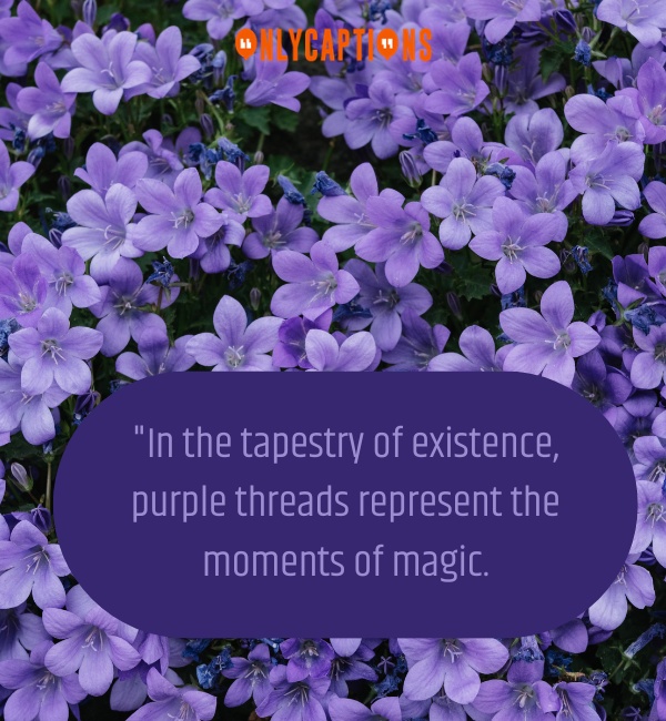 Quotes On Purple Color 2-OnlyCaptions