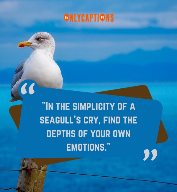Seagull Quotes 2-OnlyCaptions
