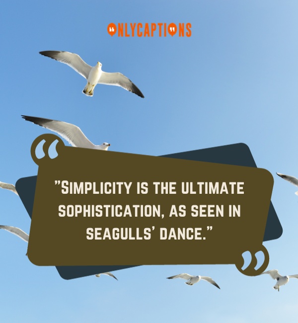 Seagull Quotes-OnlyCaptions