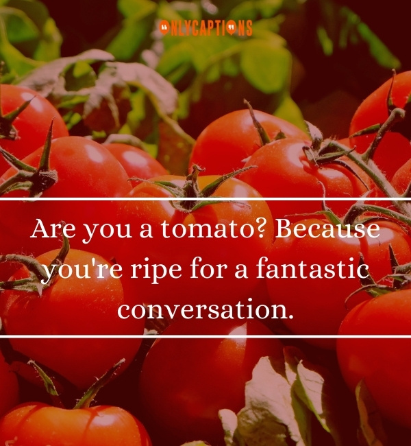 Tomato Pick Up Lines 2-OnlyCaptions