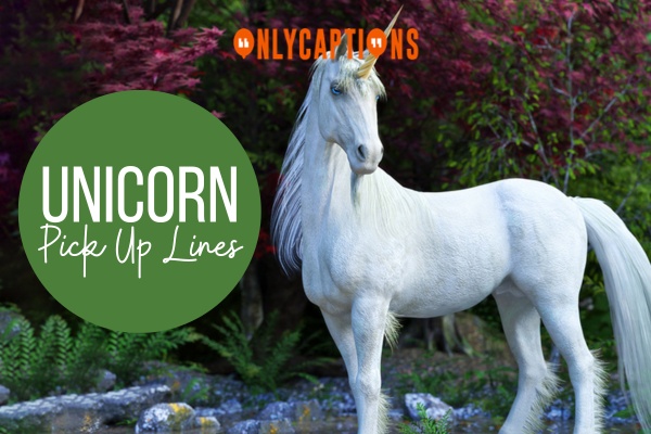 Unicorn Pick Up Lines 1-OnlyCaptions