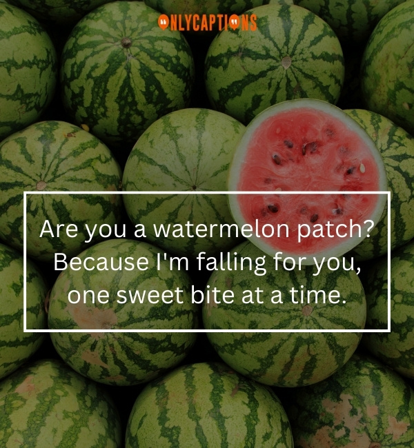 Watermelon Pick Up Lines 2-OnlyCaptions