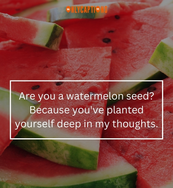 Watermelon Pick Up Lines 3-OnlyCaptions