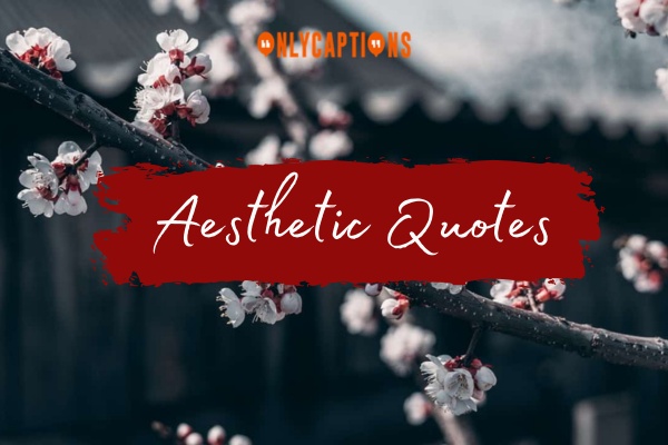 Aesthetic Quotes 1-OnlyCaptions