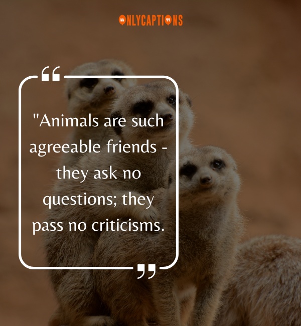 Animal Quotes 3-OnlyCaptions