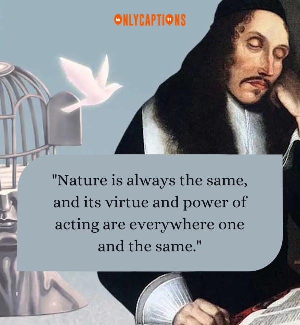 Baruch Spinoza Quotes 2-OnlyCaptions