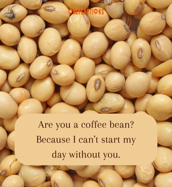 Bean Pick Up Lines 4-OnlyCaptions