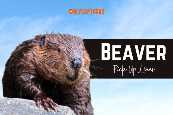 Beaver Pick Up Lines 1-OnlyCaptions