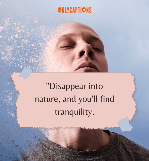 Disappear For A While Quotes 1-OnlyCaptions
