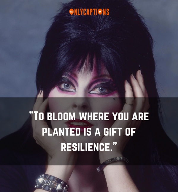 Elvira Quotes 3-OnlyCaptions