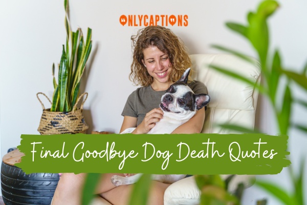 Final Goodbye Dog Death Quotes 1-OnlyCaptions