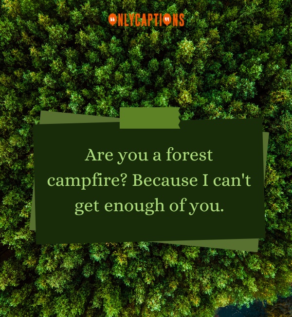 Forest Pick Up Lines 4-OnlyCaptions