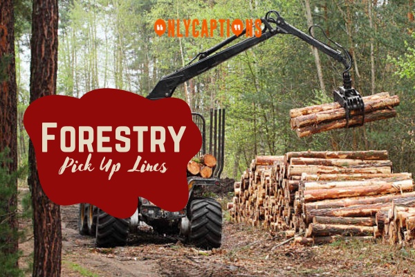 Forestry Pick Up Lines 1-OnlyCaptions