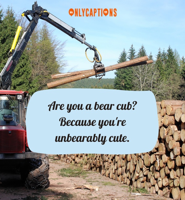 Forestry Pick Up Lines 2-OnlyCaptions