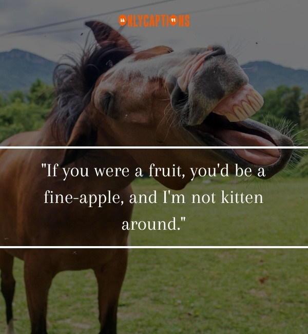 Funny Quotes About Animals 2-OnlyCaptions