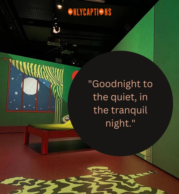 Goodnight Moon Quotes 3-OnlyCaptions