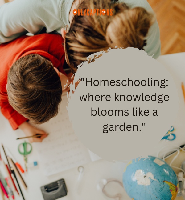 Homeschool Quotes-OnlyCaptions