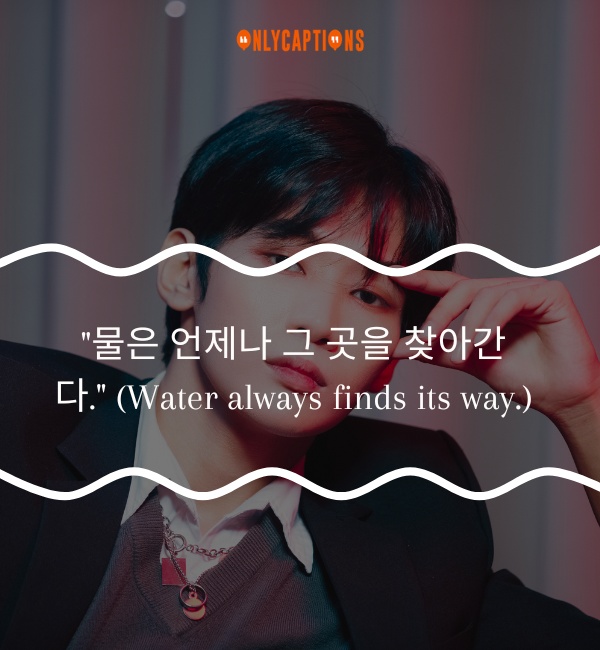 Korean Quotes 2-OnlyCaptions