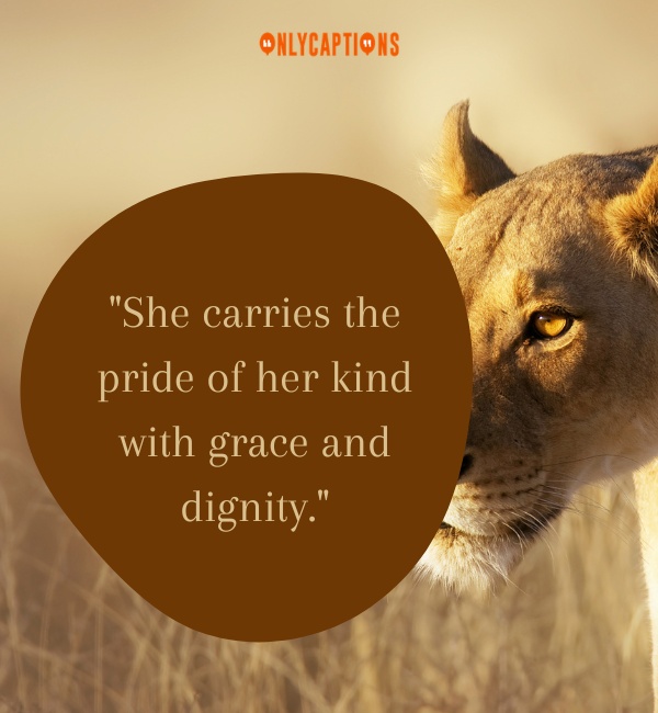 Lioness Quotes 3-OnlyCaptions