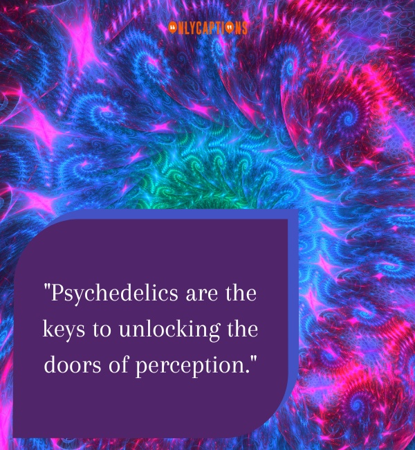 Psychedelics Quotes-OnlyCaptions