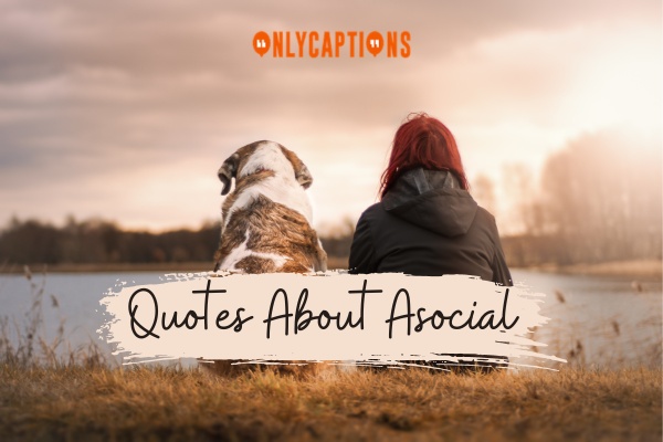 Quotes About Asocial 1-OnlyCaptions