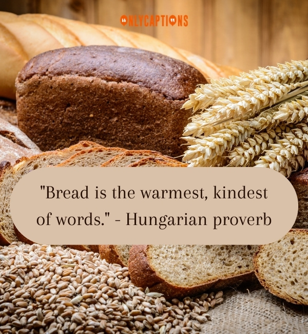 Quotes About Bread 2-OnlyCaptions