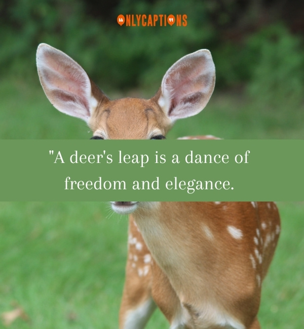 Quotes About Deers 2-OnlyCaptions