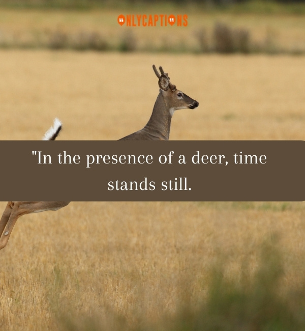 Quotes About Deers 3-OnlyCaptions