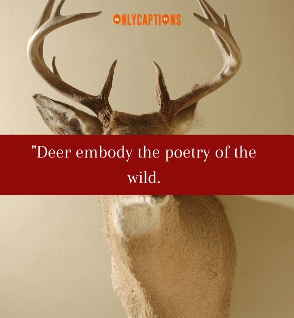 Quotes About Deers-OnlyCaptions