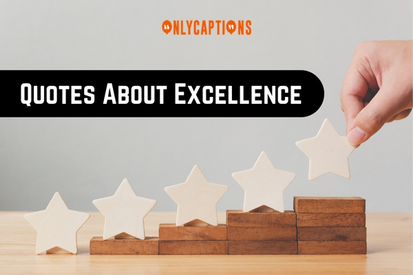Quotes About Excellence 1-OnlyCaptions