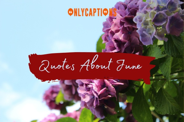 Quotes About June (2024)