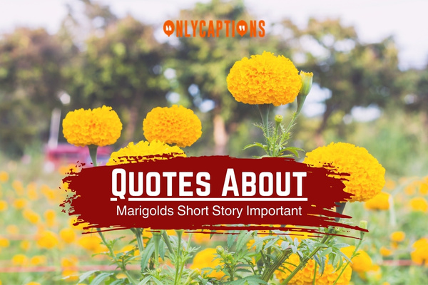 Quotes About Marigolds Short Story Important-OnlyCaptions