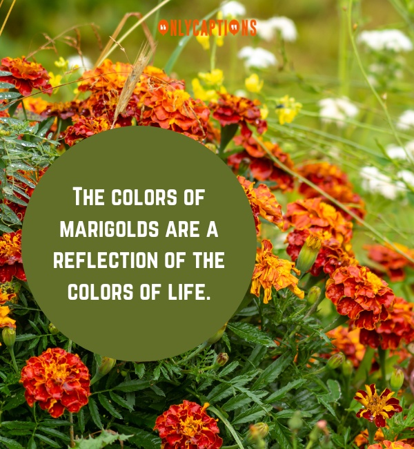 Quotes About Marigolds Short Story Important 2-OnlyCaptions