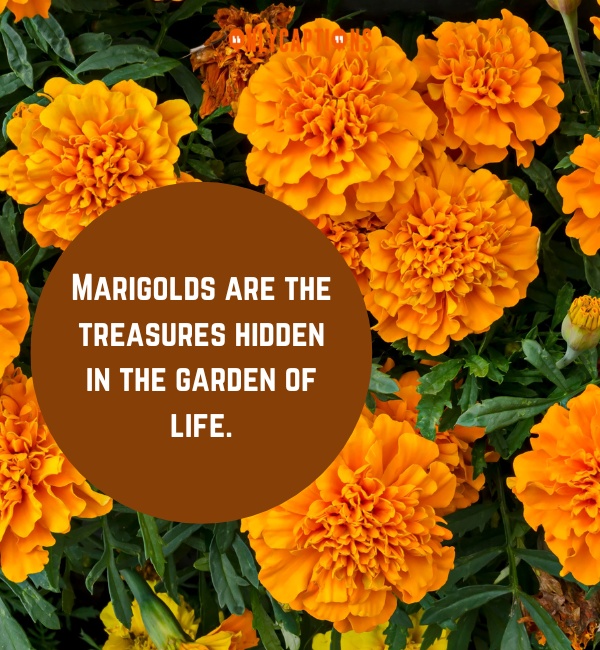Quotes About Marigolds Short Story Important 3-OnlyCaptions