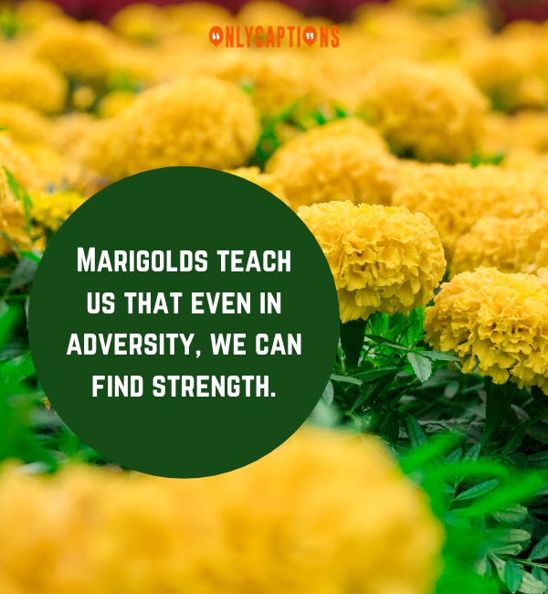 Quotes About Marigolds Short Story Important-OnlyCaptions