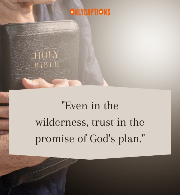 Quotes About Trusting Gods Plan 2-OnlyCaptions