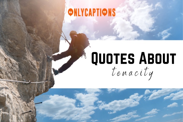 Quotes About tenacity 1-OnlyCaptions