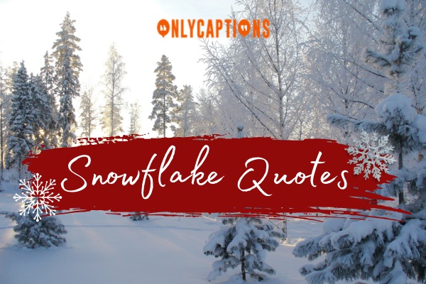 Snowflake Quotes-OnlyCaptions