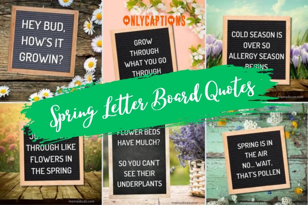Spring Letter Board Quotes 1-OnlyCaptions