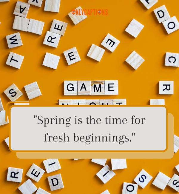 Spring Letter Board Quotes-OnlyCaptions