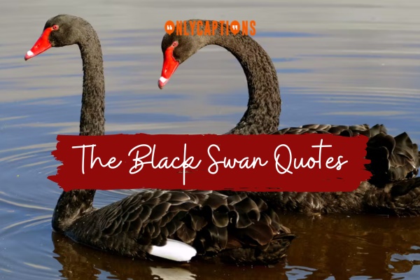 The Black Swan Quotes 1-OnlyCaptions