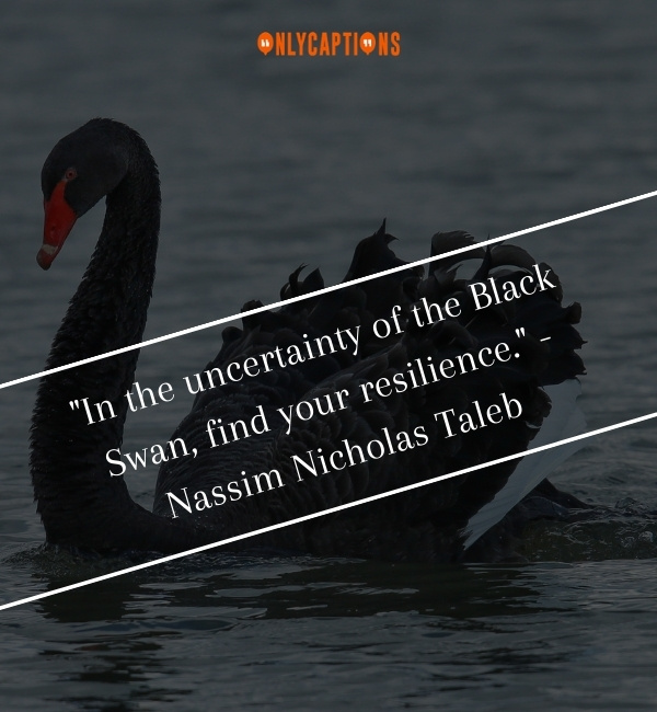The Black Swan Quotes-OnlyCaptions