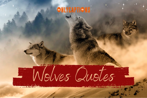 Wolves Quotes-OnlyCaptions