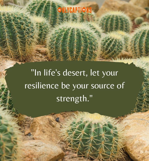 Cactus Quotes 3-OnlyCaptions