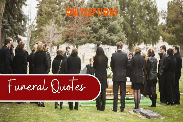 Funeral Quotes (2024)