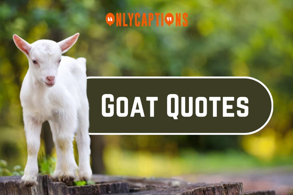Goat Quotes (2024)