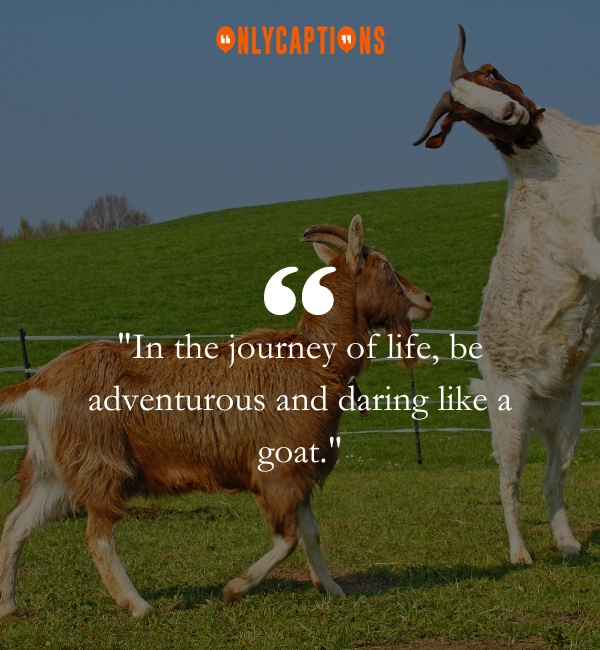 Goat Quotes 2-OnlyCaptions