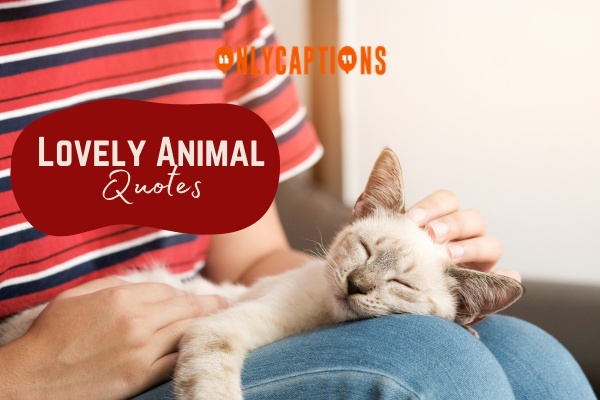 Lovely Animal Quotes 4-OnlyCaptions